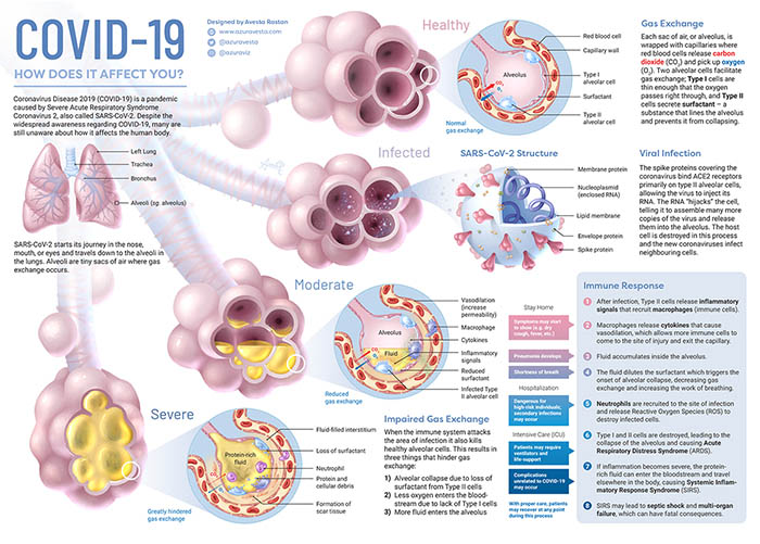 what-covid-19-does-to-your-body-1a
